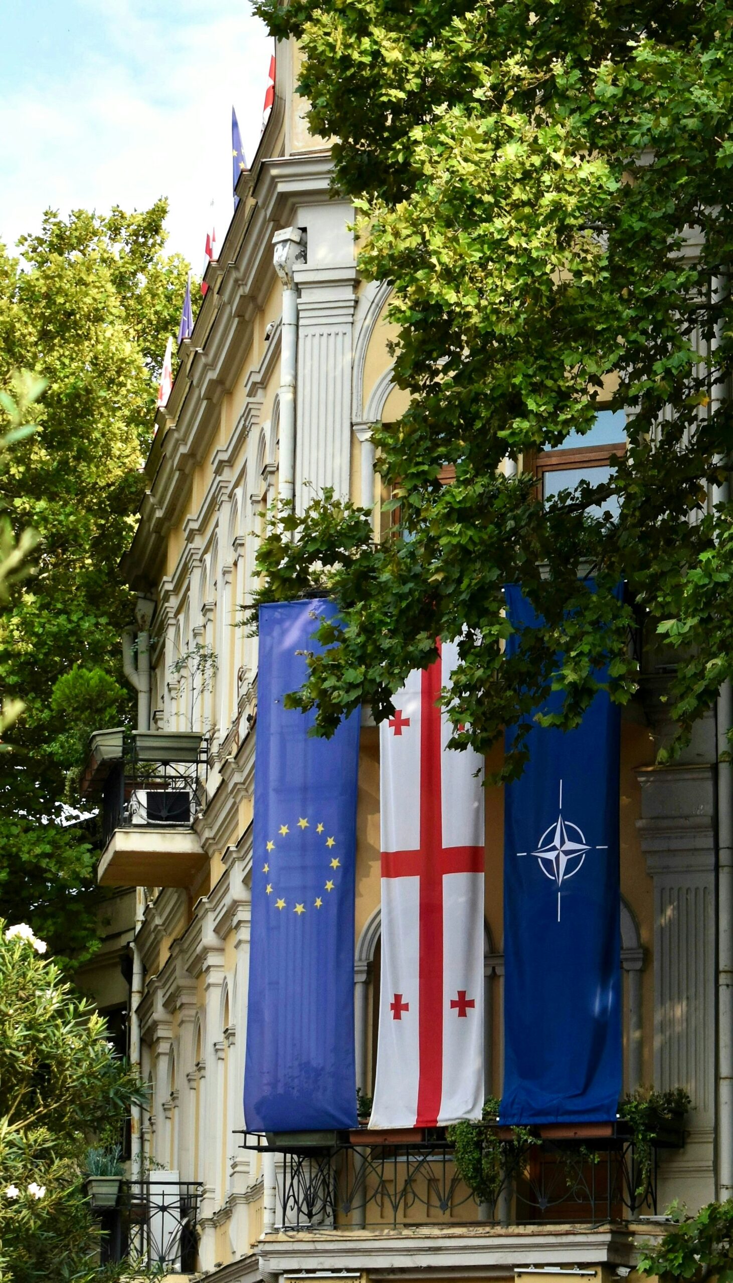 Georgia’s Strategic Neutrality or European Integration?
